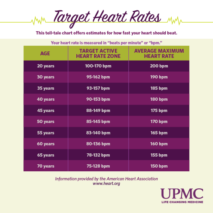 High heart rate during exercise normal range