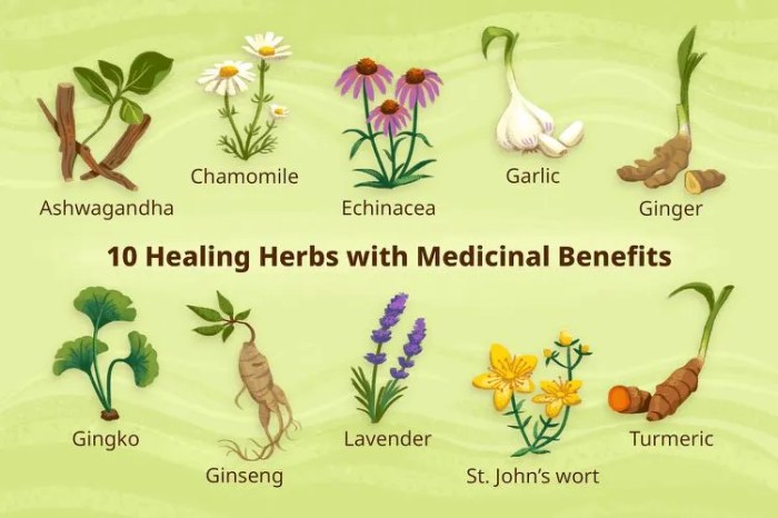 How to use herbal remedies for skin conditions